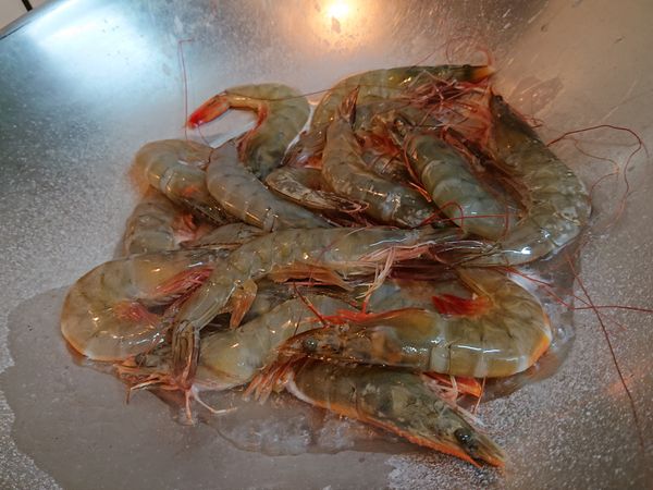 放入解凍後的蝦子，放入米酒少許。