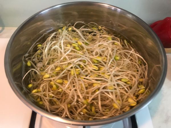 煮一鍋滾水，加入一茶匙的鹽，將洗淨的黃豆芽放進滾水裡，蓋上鍋蓋煮約4-5分鐘。