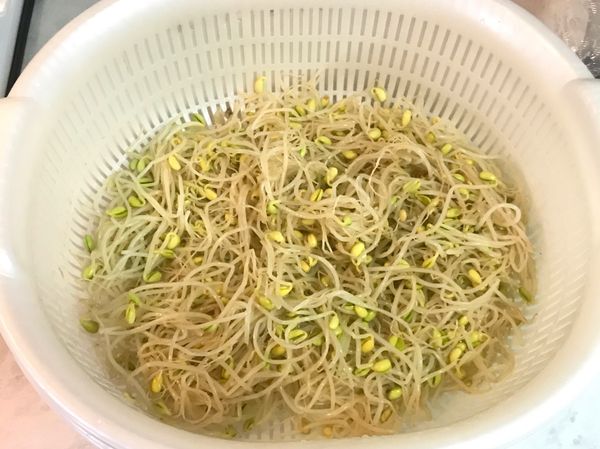煮好的黃豆芽，立即沖冷水瀝乾備用。