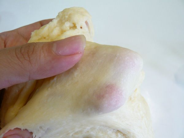 將麵團打出延展變薄後能透見指頭