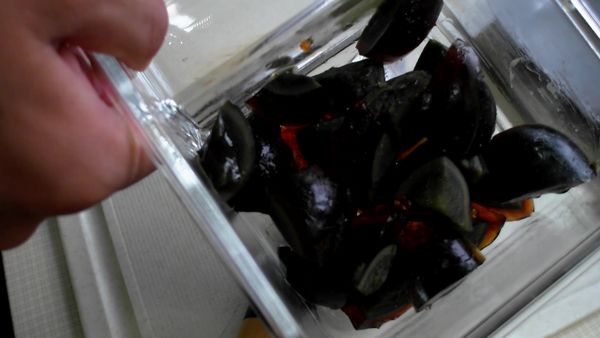 皮蛋去殼後切成小塊放到適當的模具中