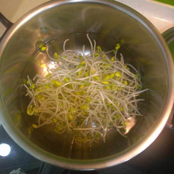 豆芽去根後，洗淨。水滾下鍋，煮5分鐘後撈起，沖冷水放涼備用。
蔥切蔥花備用。