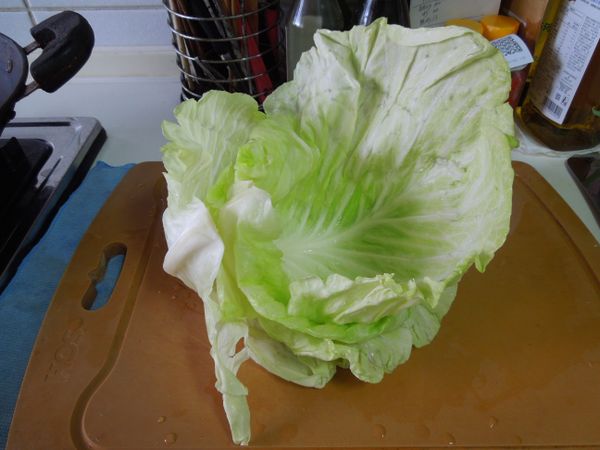 自葉梗基部剝下軟化的葉片共四片。