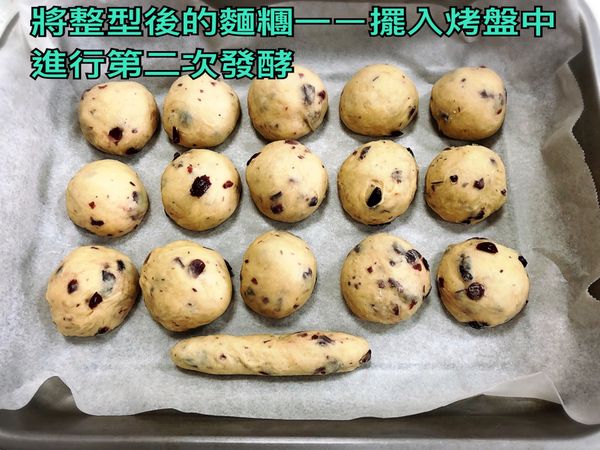將整型後的麵糰一ㄧ擺入烤盤中進行第二次發酵