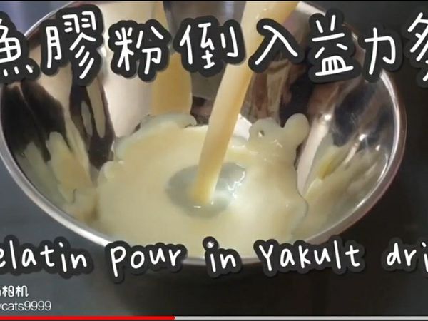 魚膠粉加入益力多