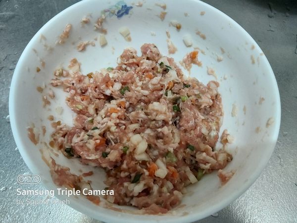 先將肉，蔥，洋蔥，紅蘿蔔，醬瓜加鹽，醬油，香油，太白粉1匙拌勻