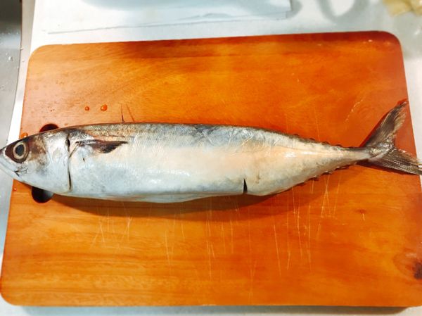 新鮮的鯖魚退冰後洗淨