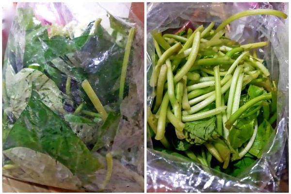 洗淨地瓜葉。
_
把地瓜葉一片一片摘下來。
-
把地瓜葉的梗子折斷，將上面的粗纖維撕去。
（#進行到這個階段的時候，#我差點花轟！）