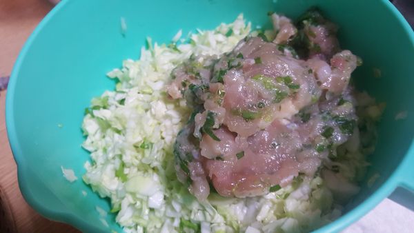 高麗菜與雞肉一起拌勻放入冰箱約1小時等待入味.