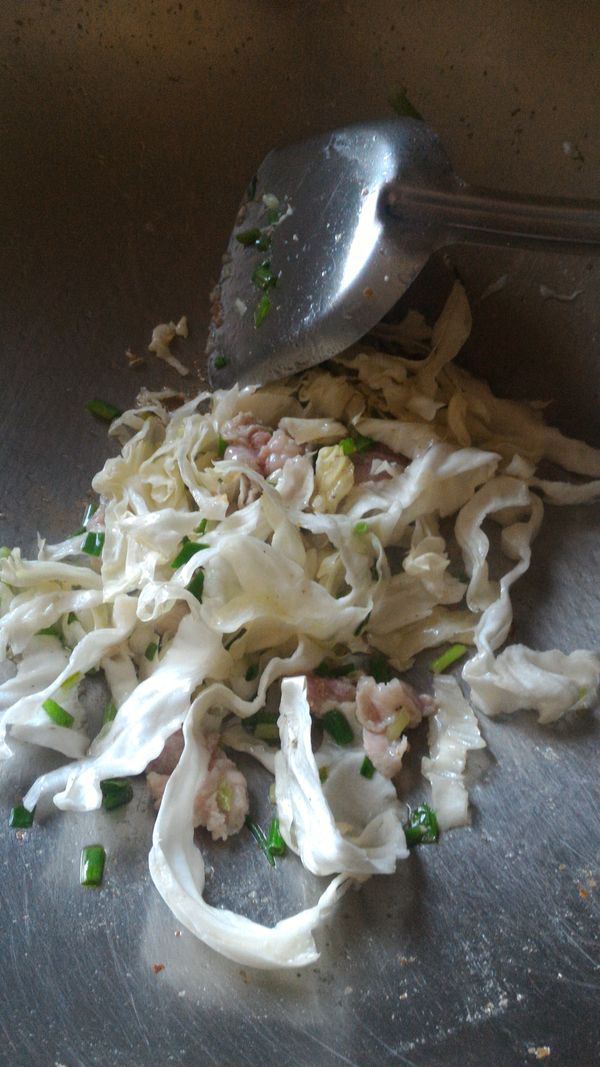 鍋入油，下蔥花爆香，下肉片拌炒，下高麗菜拌炒