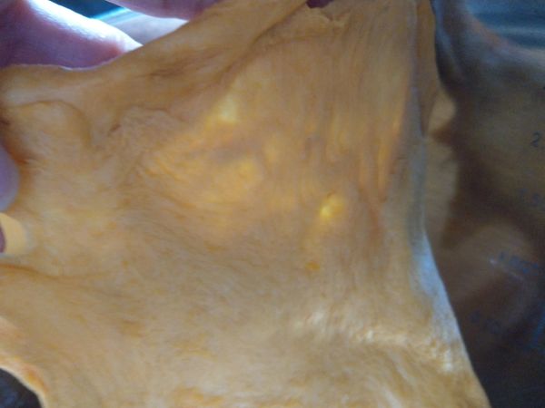 將燙麵與主麵糰材料除了無鹽奶油其餘投入攪拌鋼低速攪拌➡轉中速揉至擴展階段➡投入無鹽奶油揉至薄膜階段
（麵糰溫度約２６度較佳）