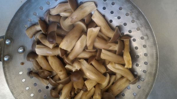 美姬菇川燙，瀝乾水備用