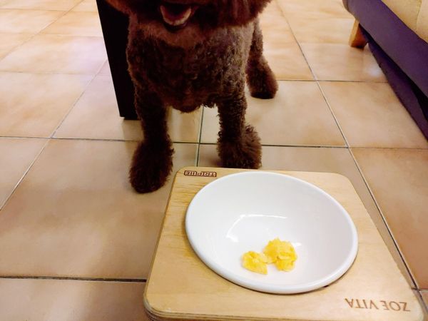 (狗狗吃很快，避免暴飲暴食，會分次吃)