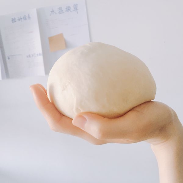 後油法至麵筋擴展。
一發至2倍大。
分9團，鬆弛15分鐘。