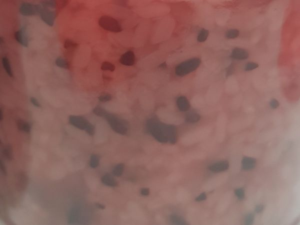 拌勻後即可裝瓶，記得六、七分滿即可，留一點空間讓其發酵。