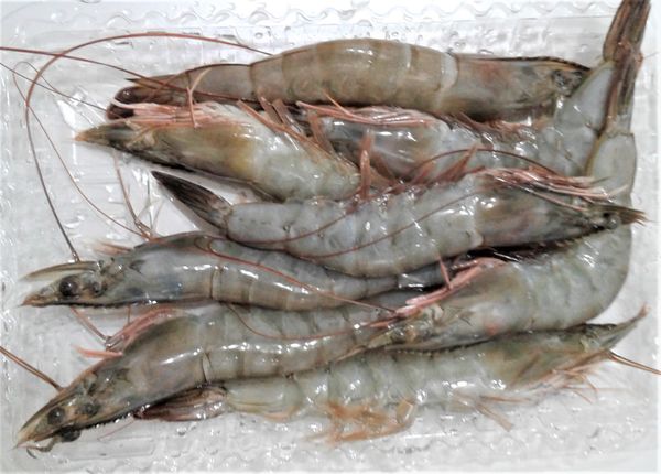 將大白蝦拿到水龍頭下，沖水洗淨。