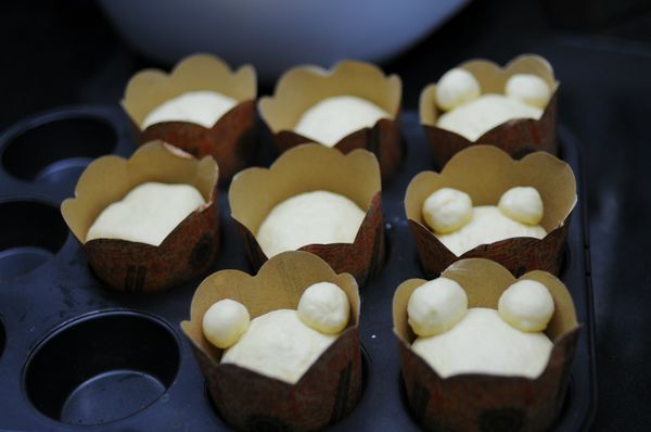 15 分鐘後 , 可以整型 入模 ,  蓋上保鮮紙最後發酵 45 分鐘 , 掃上奶水