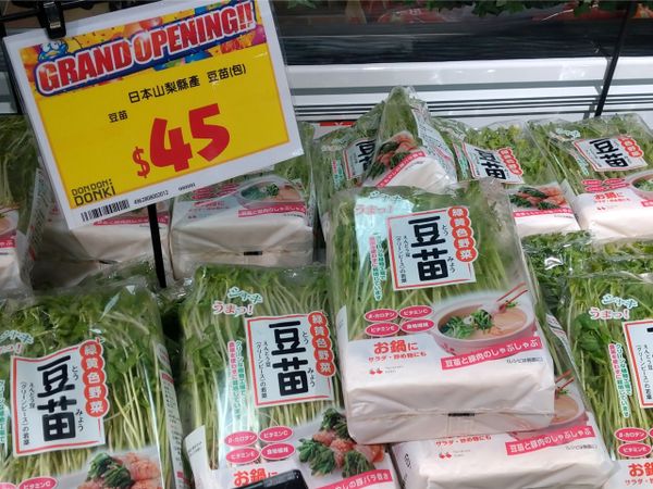 豆苗不算貴 一包45元 如果收成2次 算是划算