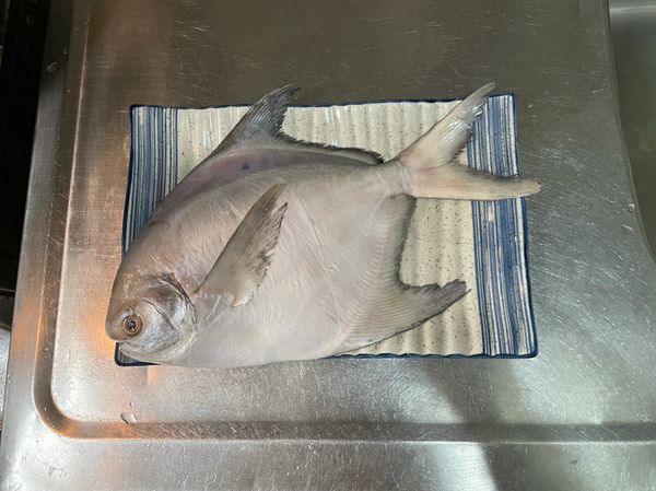 放冷藏解凍後，清洗一下，在魚身兩面劃上兩刀，抹上米酒再灑海鹽