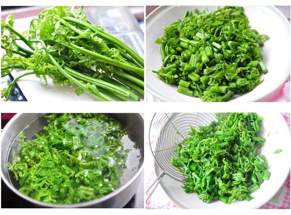 將過貓多次沖洗後切成小段狀，放入滾水川燙約1~2分鐘撈起放涼或冰鎮後裝盤備用