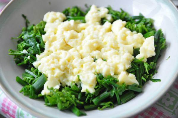 將碎豆腐鋪在過貓上層