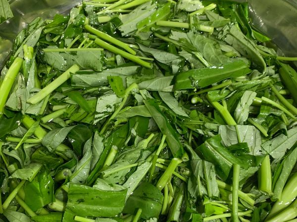 把空心菜切好、洗淨。