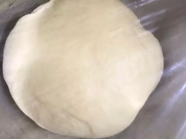 麵糰大約長到兩倍大就差不多了