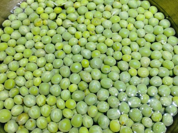 比例約：水（2或3份）豌豆（1份）

豌豆越多.喝起來沙沙的感覺會較重喔～