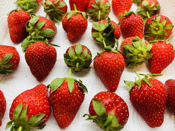 草莓買回不先清洗
保鮮盒中舖入廚房紙巾放上草莓