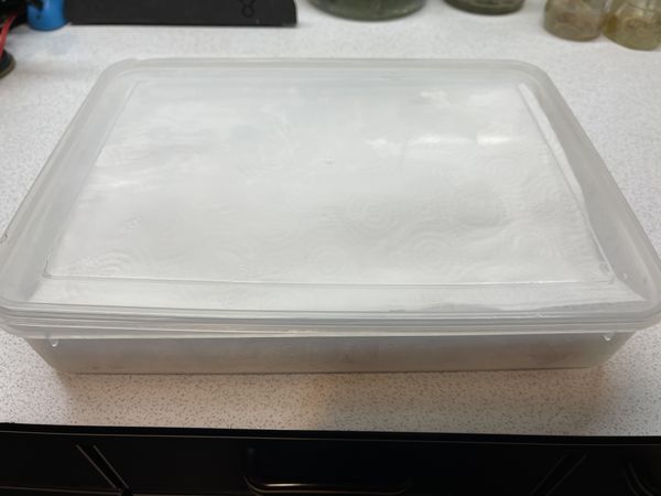 入冰箱冷藏可保持鮮度多天哦（過於軟化草莓先吃掉請放較硬感草莓較易保存）