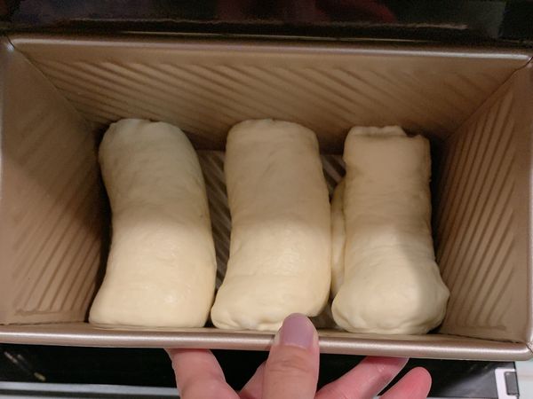 放入吐司模等待第二次發酵，麵團漲至吐司模約8-9分滿