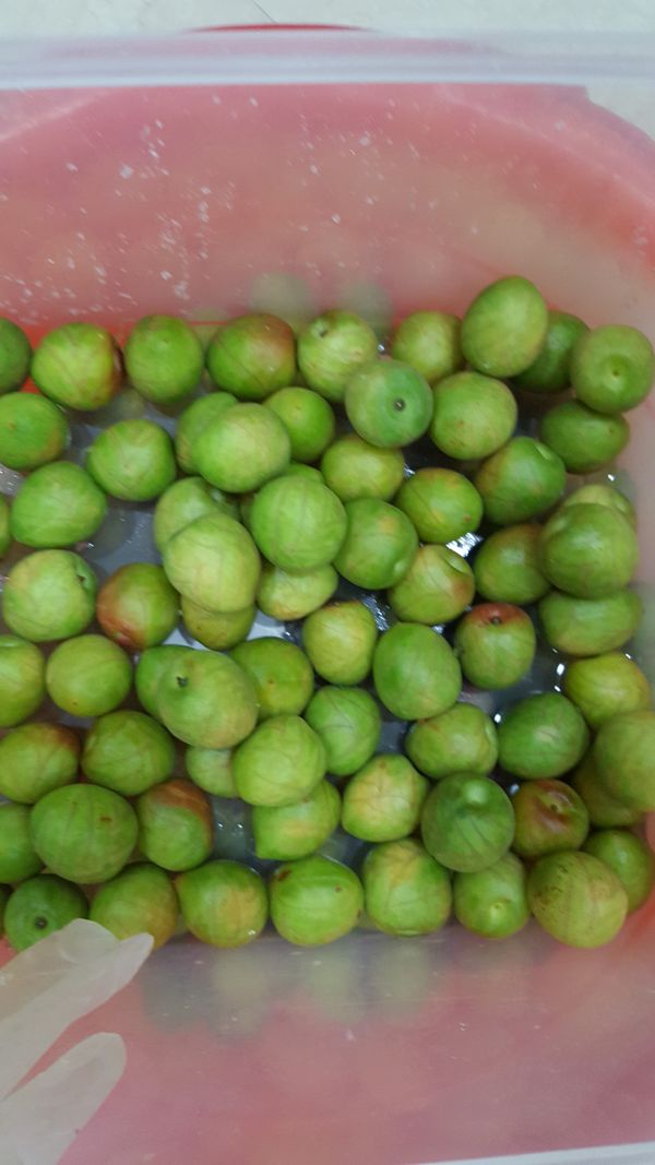 梅子劃刀鹽巴醃漬變軟