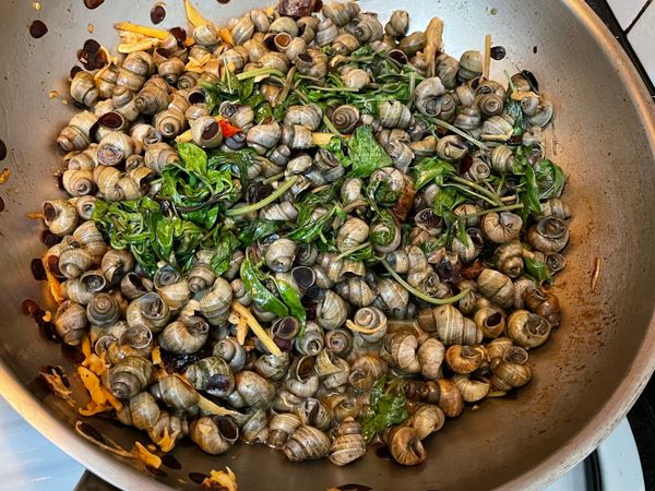 田螺 買回來之後，要徹底沖洗N次 雜質跟土才會到乾淨，老薑片切絲、辣椒切株、蒜頭拍碎，鳳梨醬黏小塊，九層塔留嫩的部分

備完料，倒油爆香 蒜頭、老薑、辣椒  倒田螺炒勻後～加鳳梨醬、米酒燜熟，起鍋前加九層塔拌勻，熄火後在下白醋 即可～