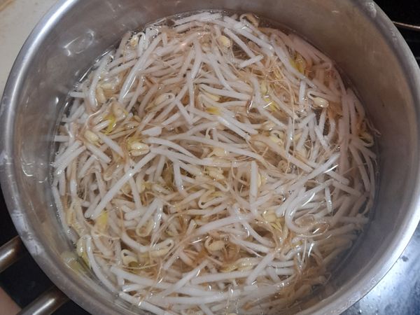 鍋中加水煮滾，加入一匙鹽與10ml橄欖油，將豆芽菜燙熟，撈起備用。