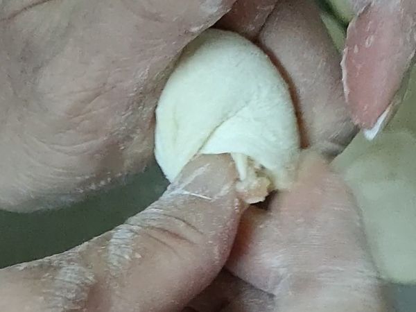 皺摺的最後轉一圈捏緊，就包好一顆小籠包了