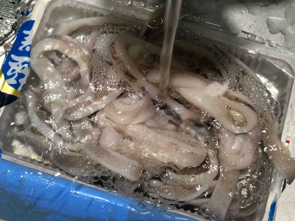冷凍魷魚圈不要先退冰。
要料理的時候快速沖水把包冰去掉就好。