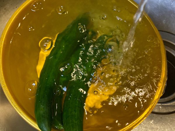 小黃瓜市場買回後，使用牙刷清洗外皮。