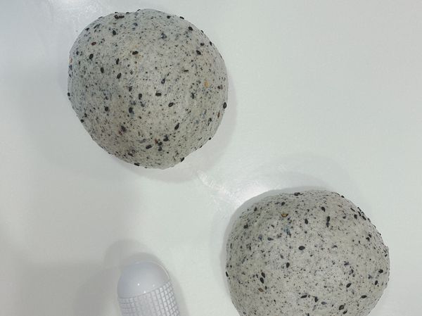 分割2份排氣滾圓靜置15分鐘