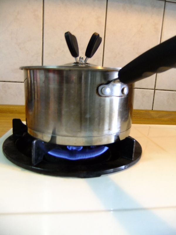 蓋上鍋蓋，以中小火煮。(火焰不要超過鍋子底部！)