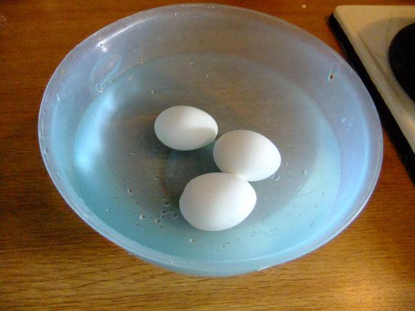 等水沸騰了立刻熄火，不要掀開鍋蓋，用餘熱將蛋悶至自已喜歡的熟度。(下面有附參考時間！)悶好後立刻將蛋撈起來浸冷水，讓蛋充分冷卻。