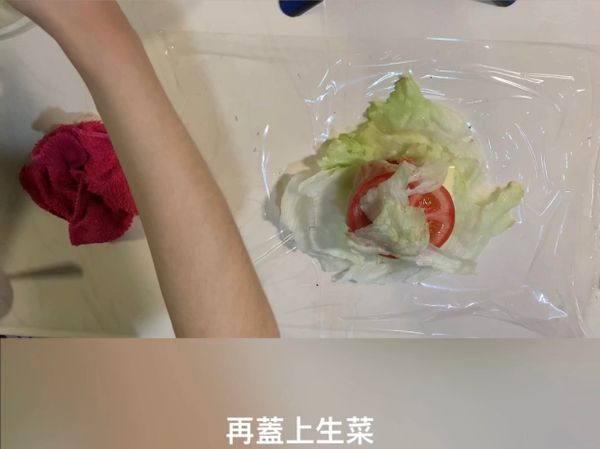 最後蓋上生菜