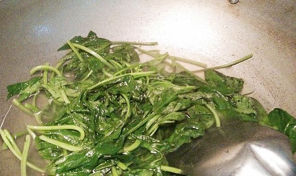 地瓜葉大火煮滾.顏色變深.即可起鍋.過冷水.避免繼續加熱軟爛. 冷卻地瓜葉後.撈起水倒掉.擺盤.