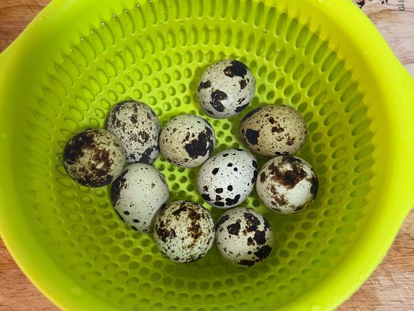 鵪鶉蛋以水泡洗瀝乾，壞掉或破掉的會浮起，可以輕鬆挑掉；