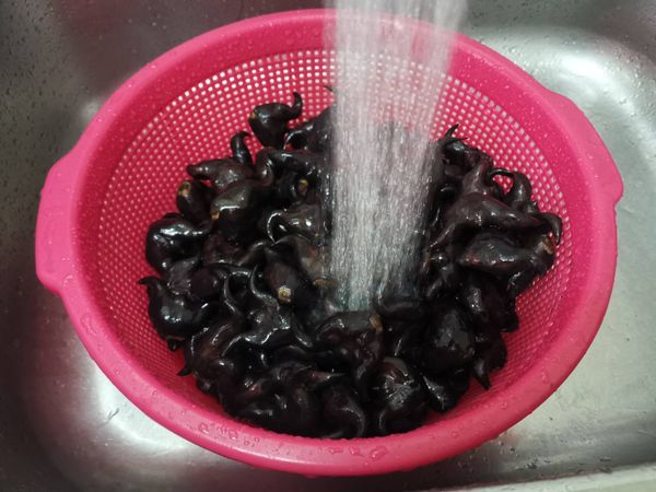 菱角買回家先洗淨備用
