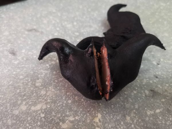 煮好的菱角怎麼吃，用剁刀切中間，就可以食用了