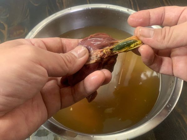 雞肝清洗，去除膽囊