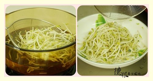 鍋中放水煮滾，先將豆芽菜快速入水汆燙撈出放盤