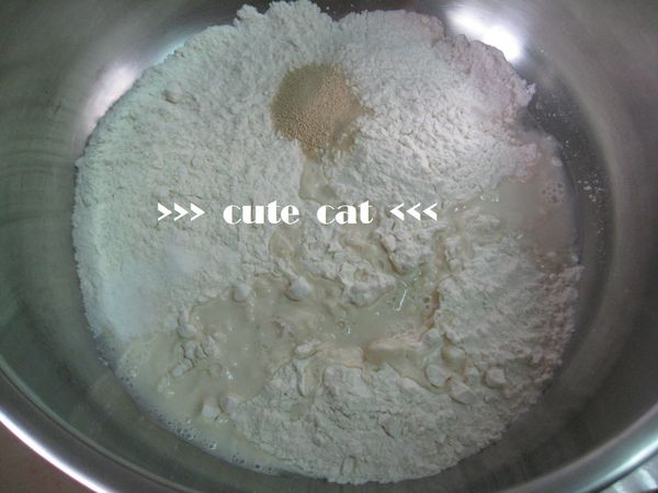 將高筋麵粉、酵母粉、鹽、水、橄欖油，5種材料加進盆中攪拌成麵團。