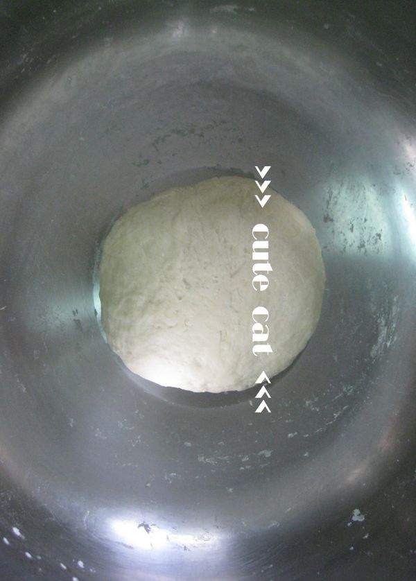 持續攪拌揉麵團，揉至不黏手即可。麵粉成團後，用布覆蓋容器靜置1-2小時。