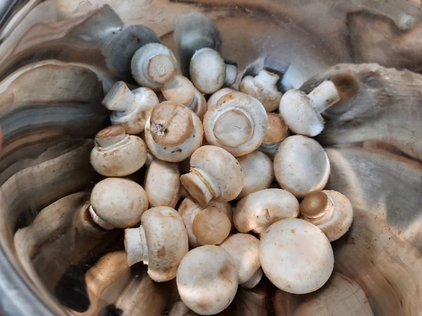 蘑菇用紙巾擦拭乾淨，加入少許鹽拌勻